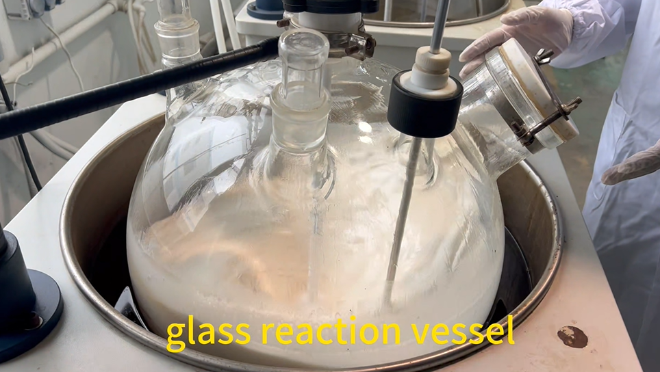 1 glass reaction vessel